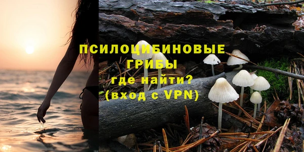 героин Алзамай