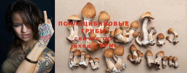 скорость Алексеевка