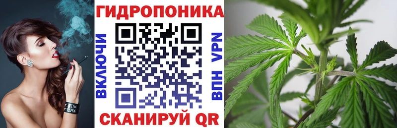 Бошки Шишки MAZAR  продажа наркотиков  Бокситогорск 